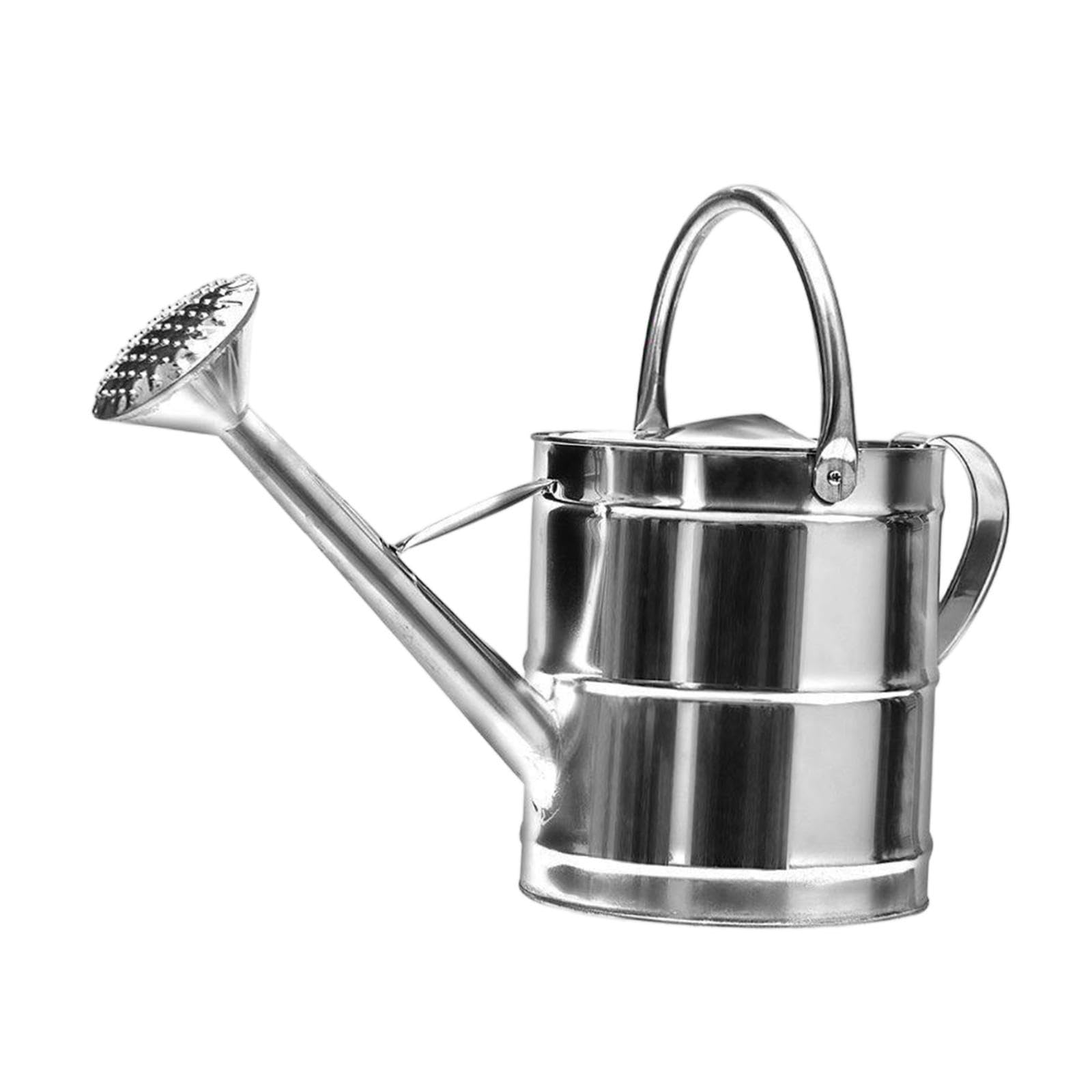 Fenteer Stainless Steel Watering Can Large Capacity Multipurpose, Practical, with Handle Plant Watering Tool for Outdoor, Indoor, 8L