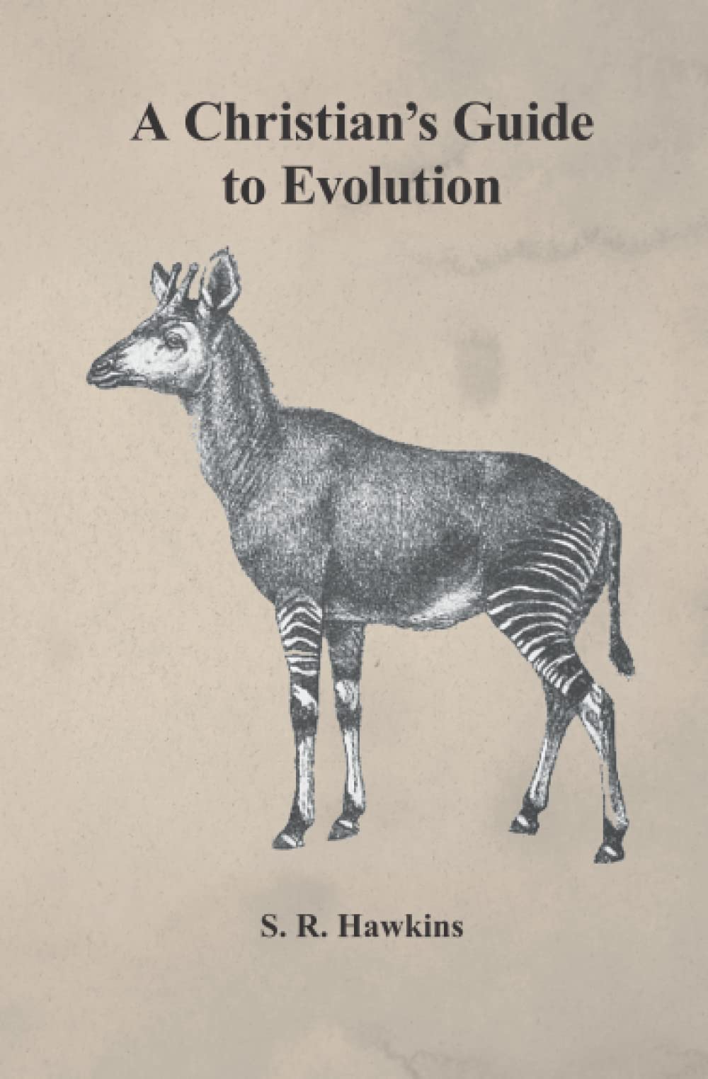 A Christian's Guide to Evolution
