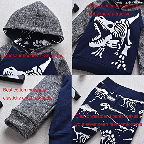 Baby Boys Dinosaur Long Sleeve Hoodie Tops Sweatsuit Pants Winter Outfit Set4