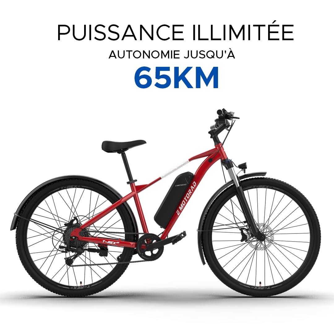 EMotorad T-Rex Air | Vélo Électrique Tout-Terrain pour Adultes | Pneus 29x2.4" | Moteur 36V 250W | Batterie Amovible 13Ah | Suspension Avant 100mm | Freins à Disque Mécaniques