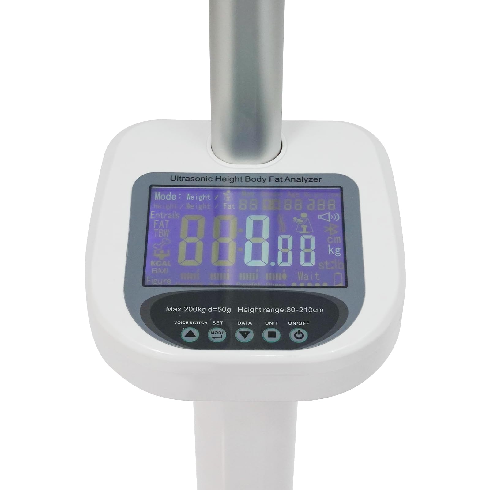 Professionelle Digitale Höhe- und Körperfettwaage, Ultraschall-Körperfettanalysator Gewichtskapazität, Multifunktionale Körperwaage für Zuhause, Fitnessstudio, Schul-und Klinikgebrauch, bis 200Kg