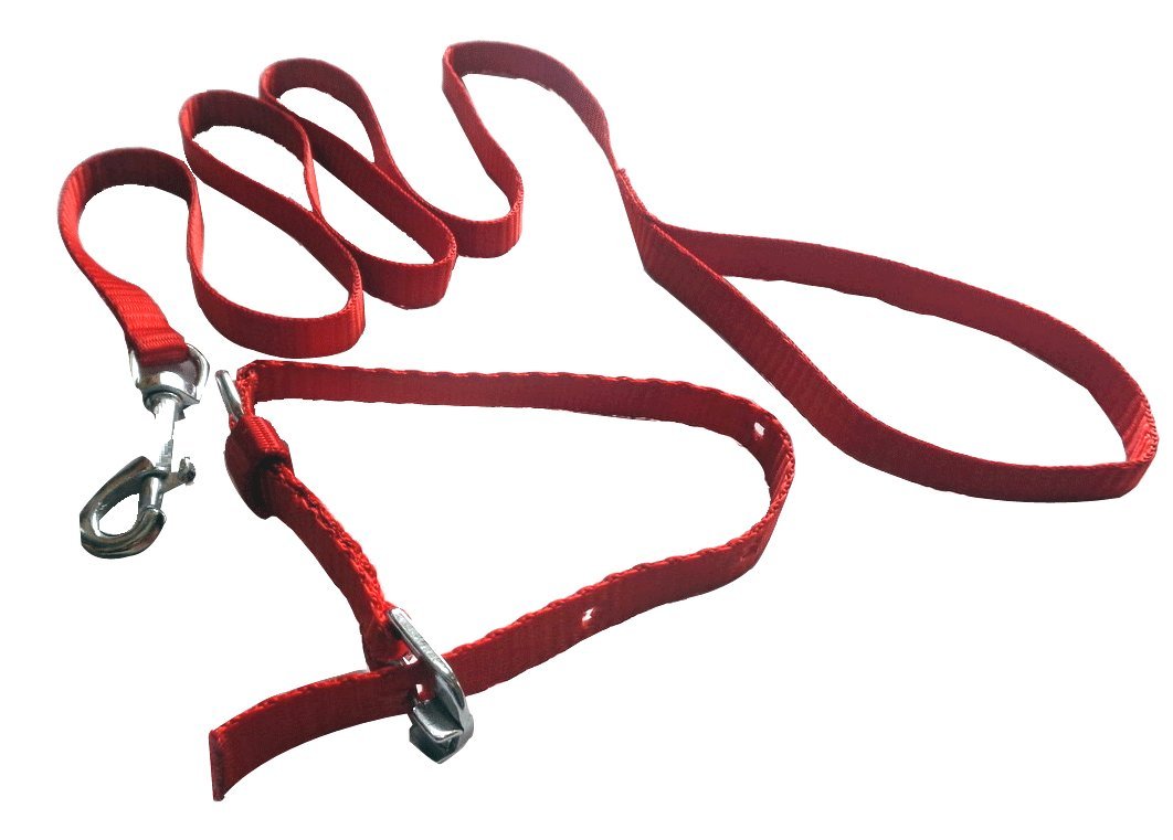 Suraj Chain Smart Doggie Nylon Lead Leash With Collar For Small Puppies - 0.50 Inch (B01J15TEAG) Amazon Price History, Amazon Price Tracker