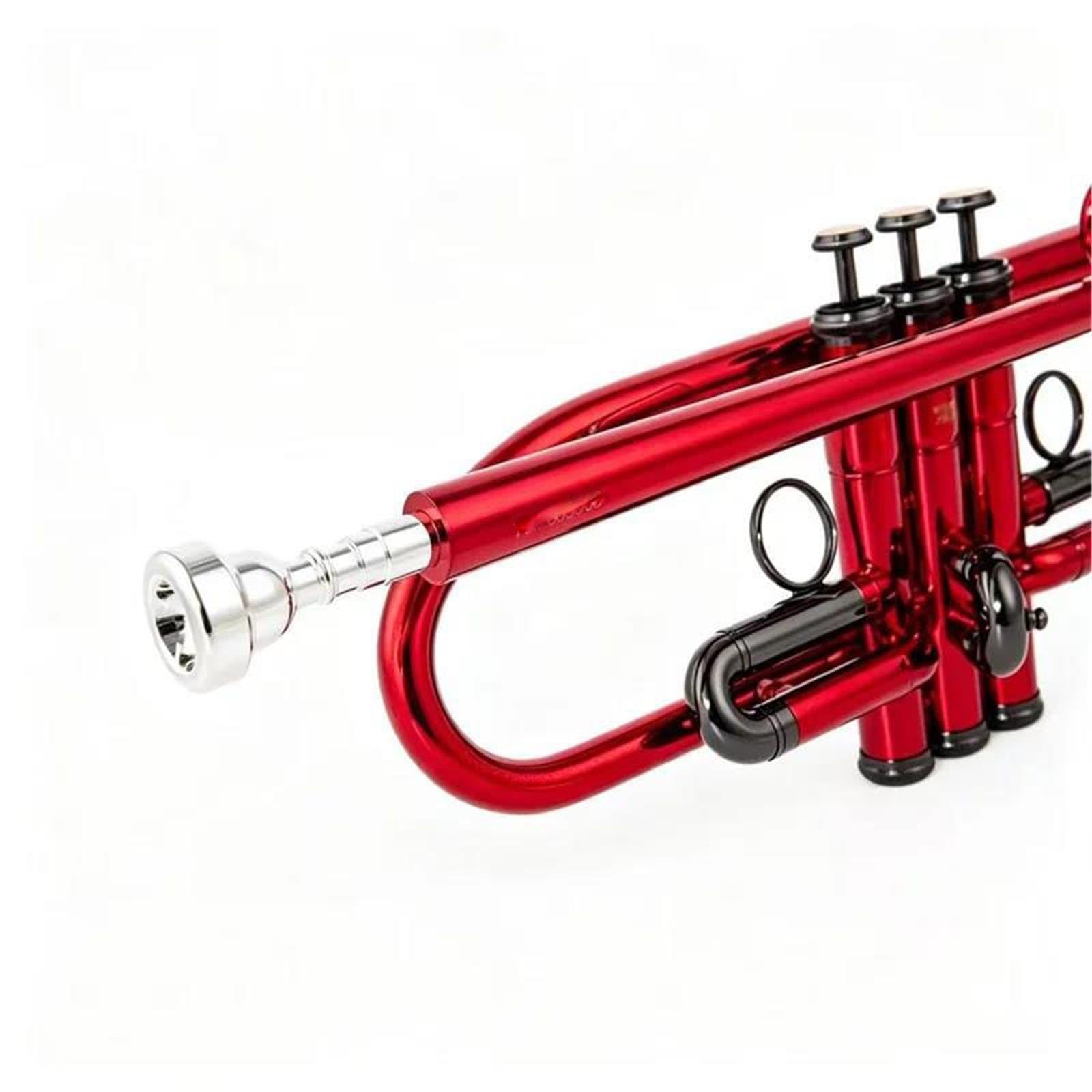 Professionnel Robuste Petit Trompette