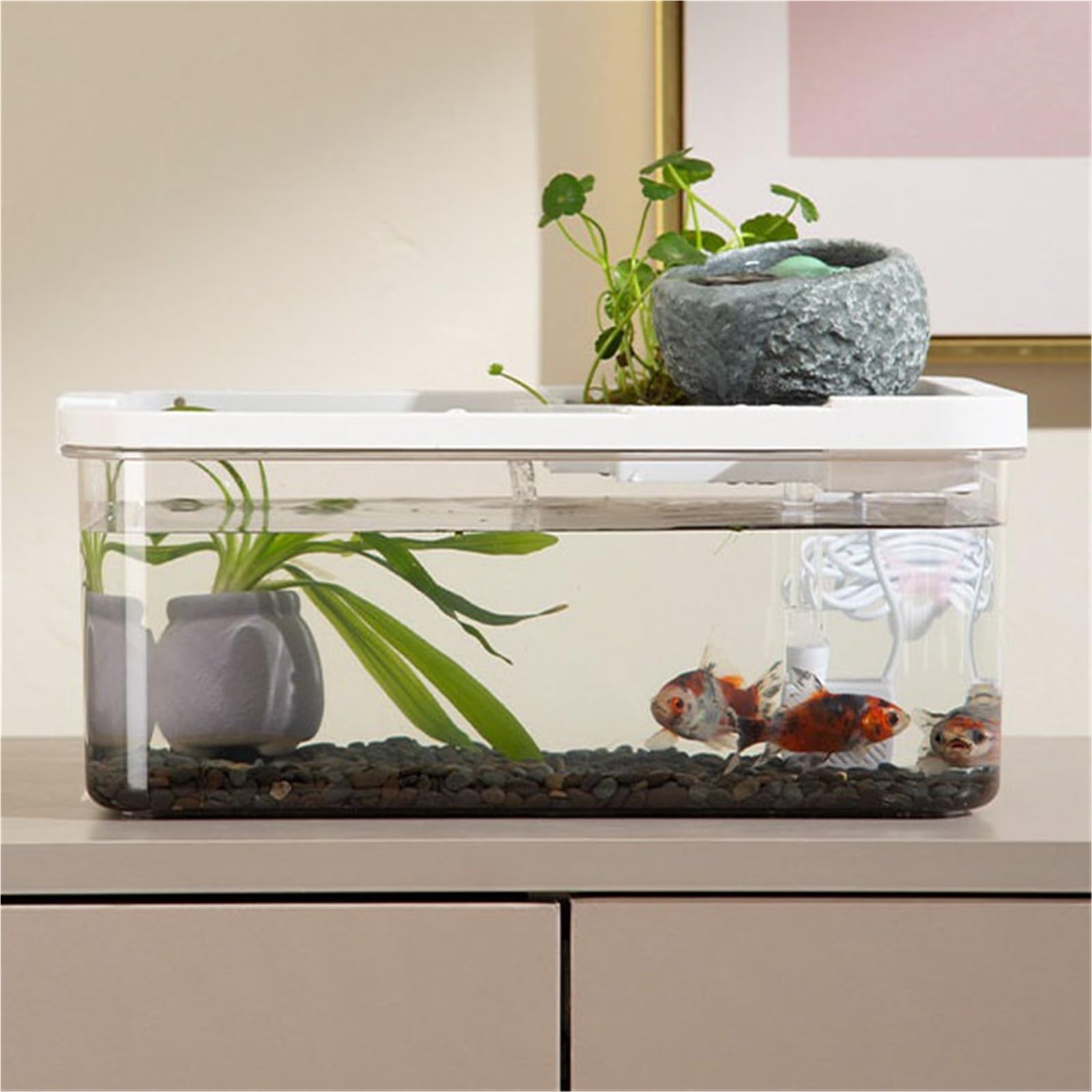 Siedlisko terrarium Pulpit Krajobraz Ekologiczna miska do karmienia czarnego żółwia Terrarium akwariowe