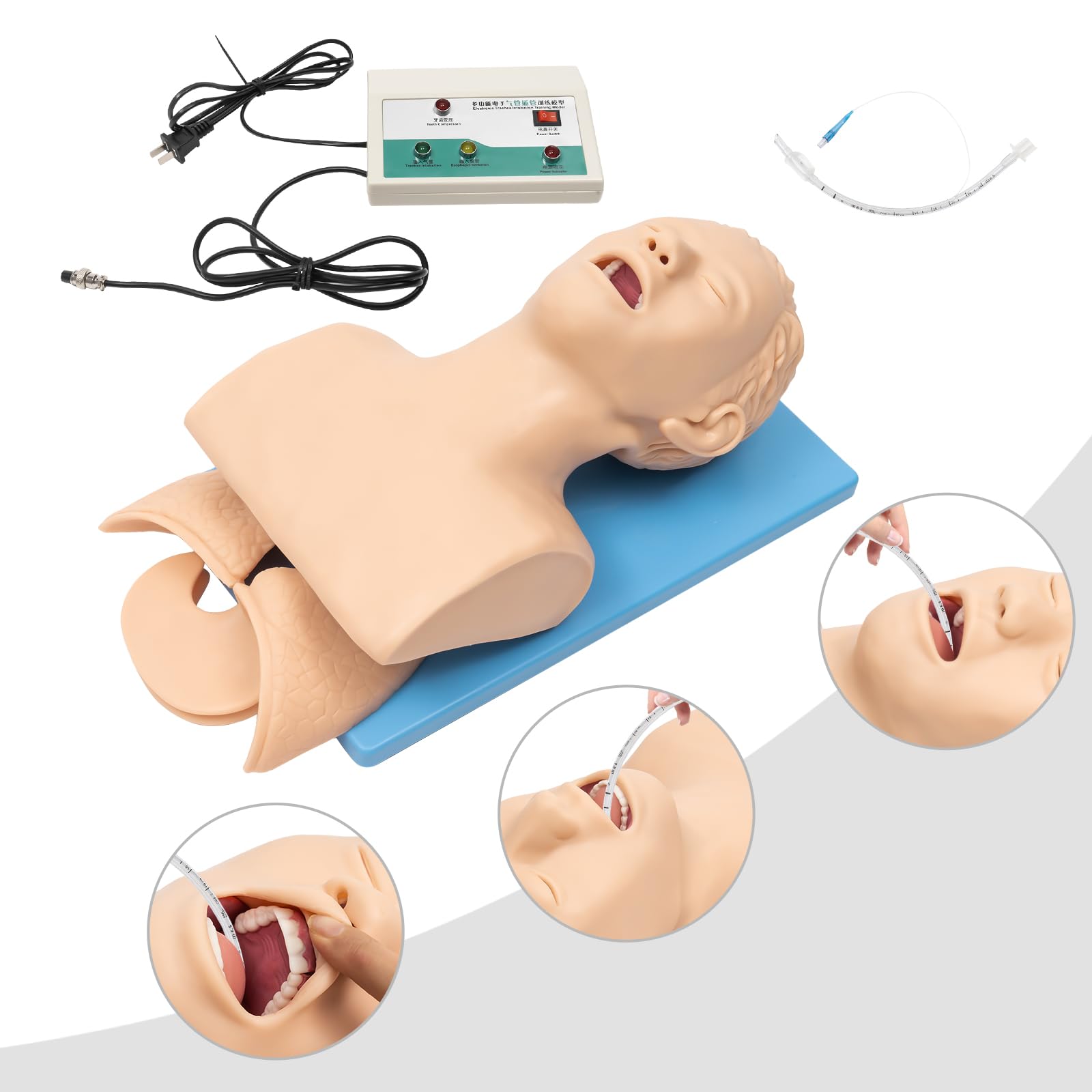 Snapklik.com : VPABES 110v PVC Adult Intubation Manikin Teaching Model ...