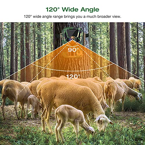 Mini Wildkamera 1080p 16MP Wildkameras mit Nachtsicht Kleine wasserdichte Jagdfallenkamera mit 120° Weitwinkelobjektiv 2… – Bild 6