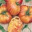Mr. Stripy Heirloom