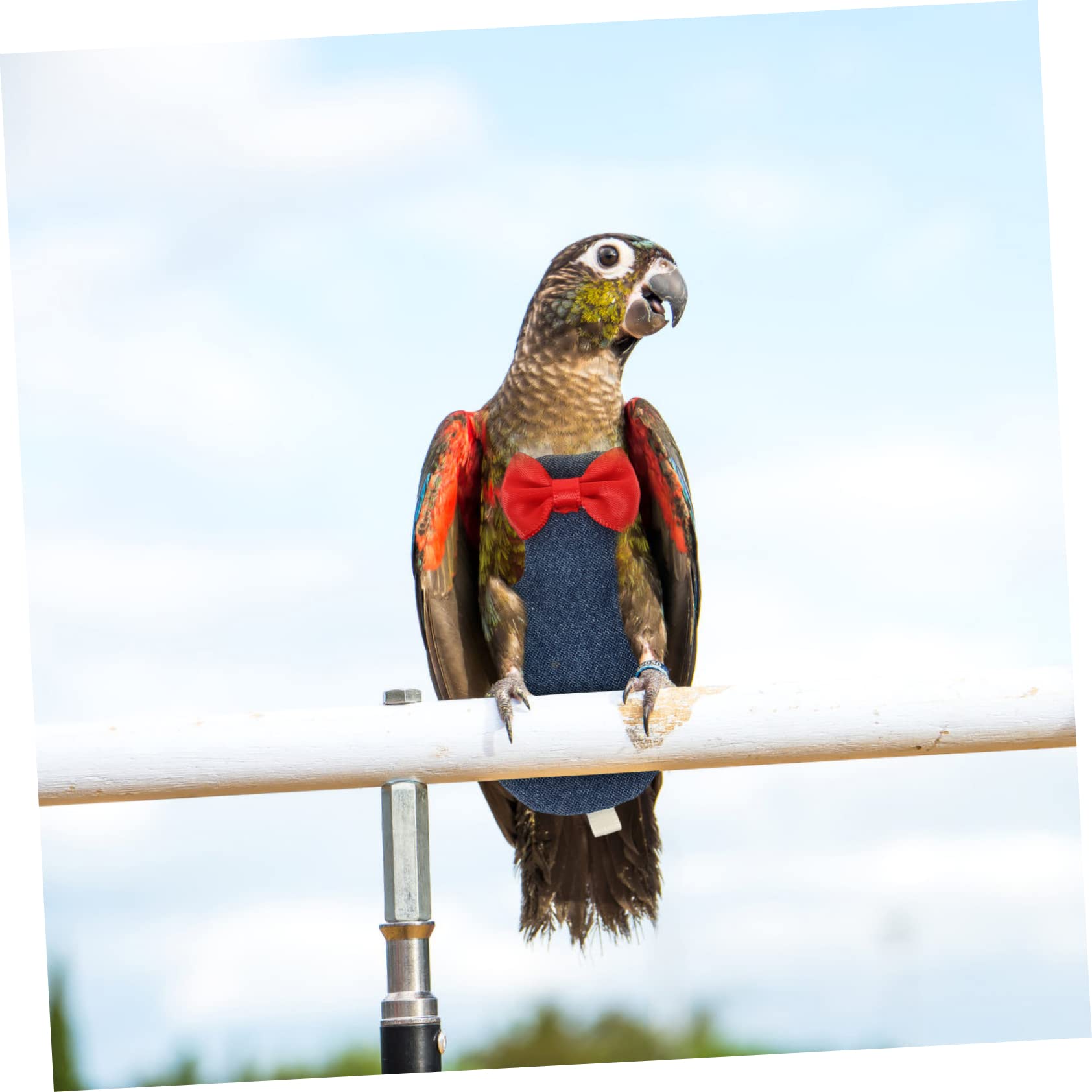 FOMIYES 5piezas Pañal De Aves Reutilizable para Aves Pequeñas Traje De Vuelo para Cockatiels y Periquitos Protección y Comodidad Exteriores