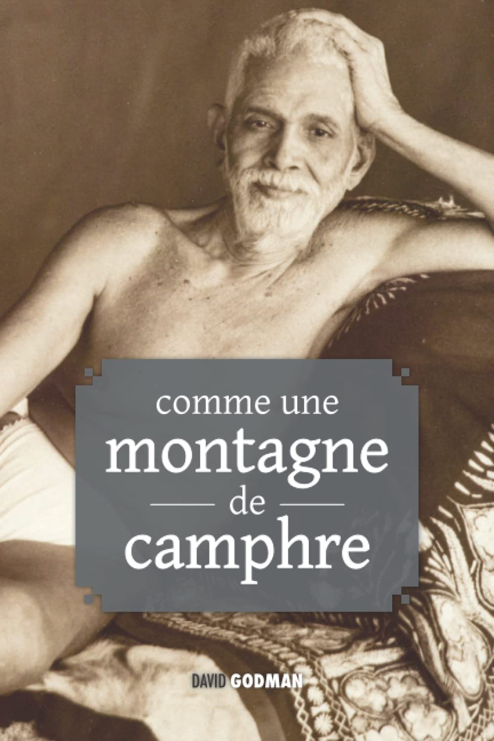Comme une montagne de camphre : Enseignements de Ramana Maharshi et Annamalaï Swâmî