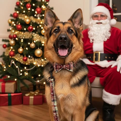 Miniatura 229 de PETDURO Collar de perro personalizado con nombre y teléfono grabado en hebilla de metal – Personalizado para perros medianos y grandes – Impresiones