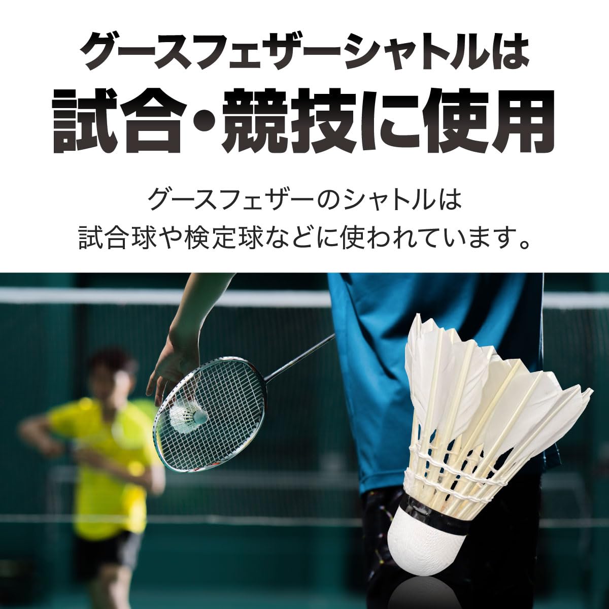 Amazon | [AiO JAPAN] バドミントン シャトル 12個入り 1ダース