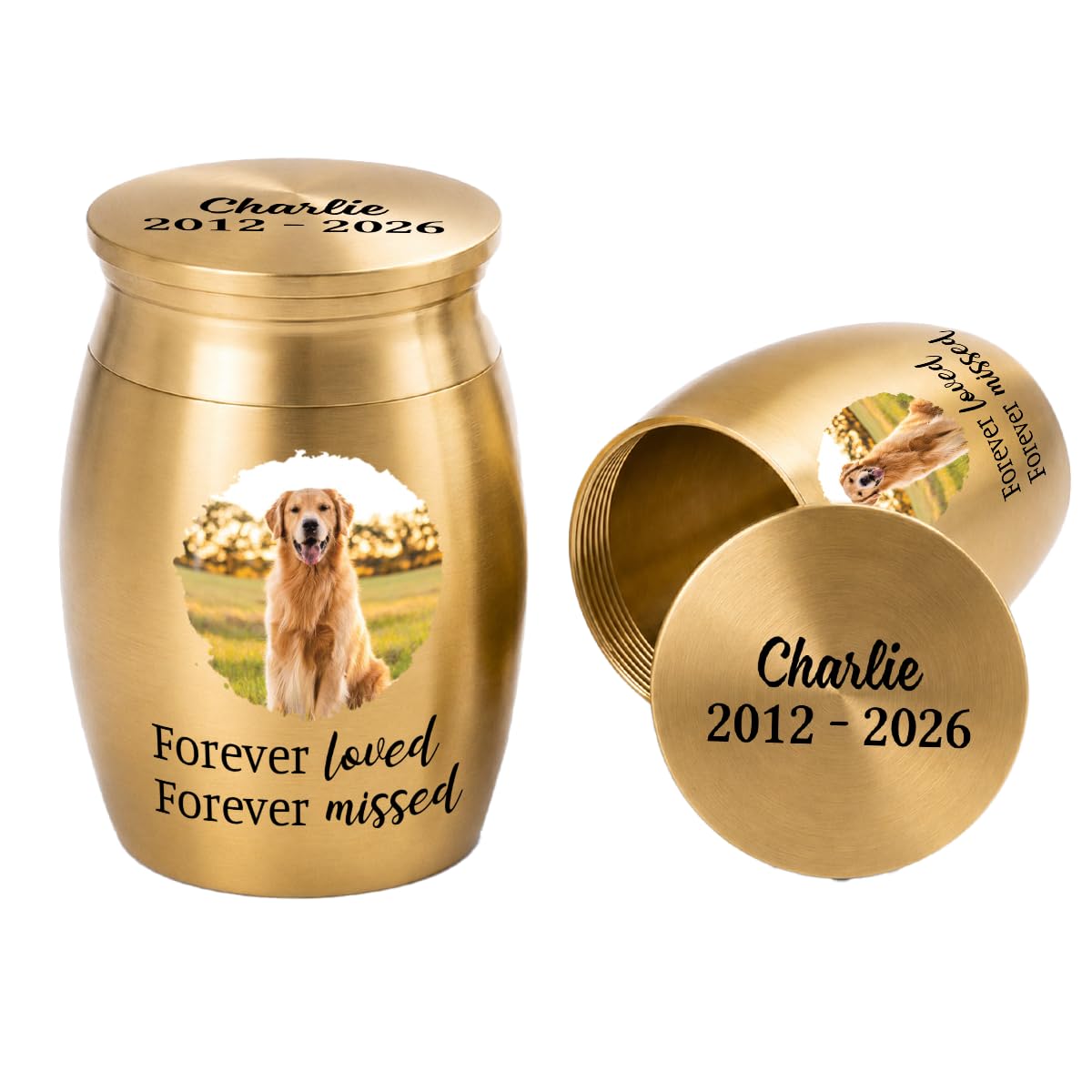 Personal Chic Personalised Mini Urn - I'm Always With You - Urns For Human Ashes, Ashes Keepsake, Dog Ashes Box, Cat Urns For Ashes, Pet Urn, Funeral Urns For Ashes Adult (Model #1)