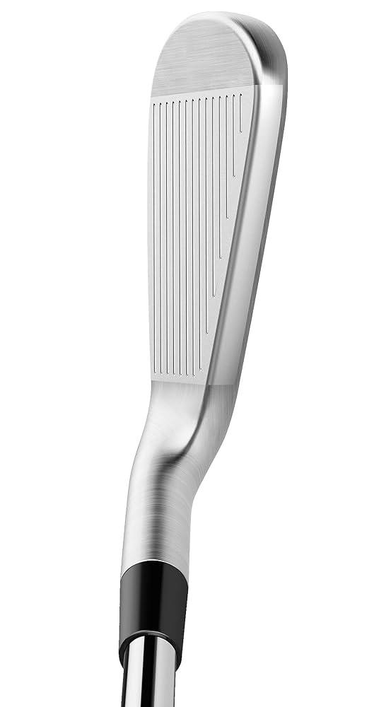 テーラーメイドP790Tiアイアンセット 5本 テーラーメイド P790 アイアン 2023年モデル 5本セット [NS PRO