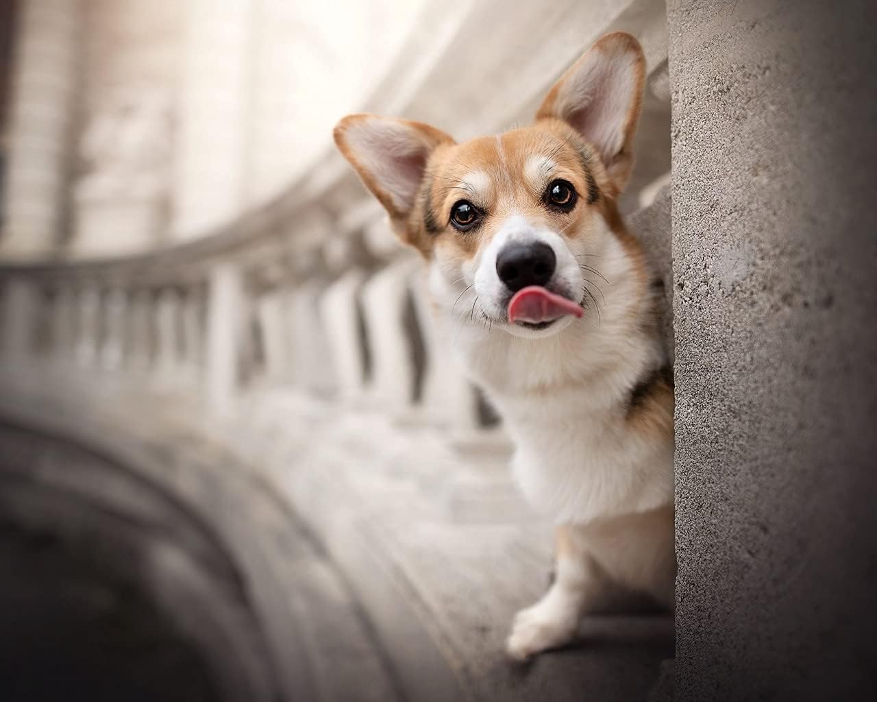 30x40cm 5d Diy大人用牧歌的な風景 ダイヤの絵フルドリルダイヤモンドペインティングキットラウンドクリスタルダイヤモンドアートキットギフト 友達家族のクリスマスの誕生日プレゼント L05k0019