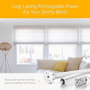 somfy Rechargeable Battery Pack 2-Pack & Charger Bundle - Power Blinds, Shades, Curtains - Long-Lasting, Easy Install - Wall Mount Clips Included - #9021217, #9025166
