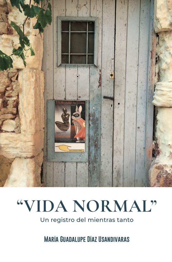 "Vida Normal" Un Registro del Mientras Tanto (Spanish Edition) eBook Díaz