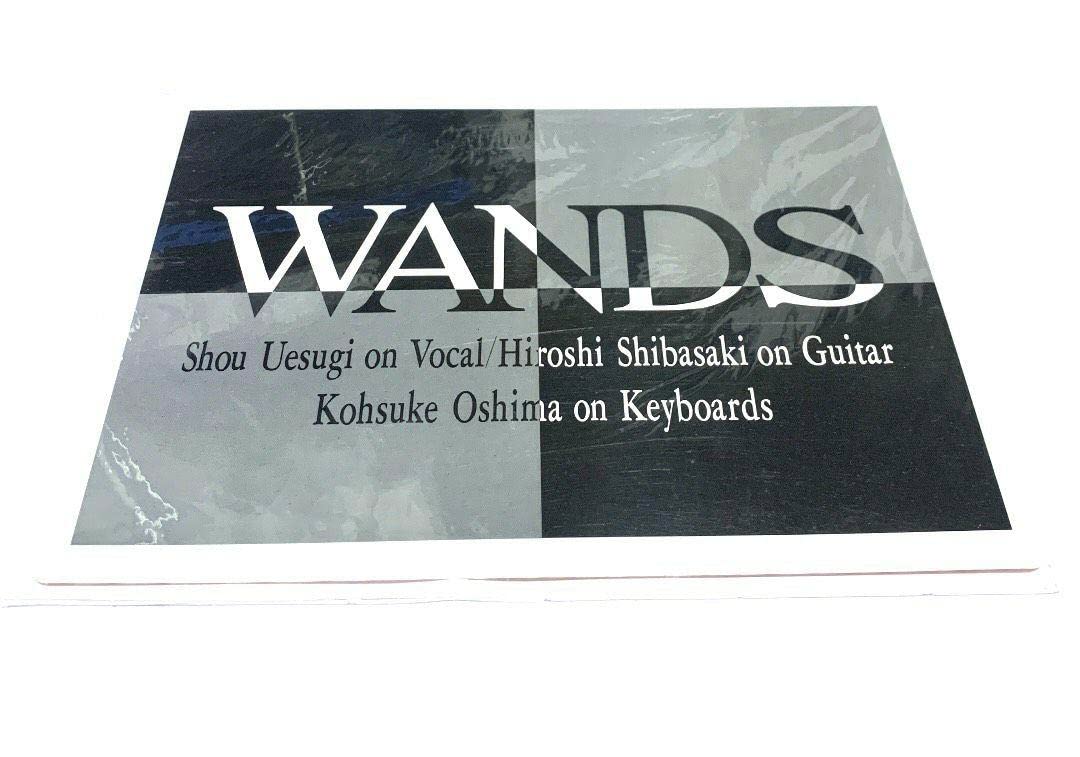 WANDS 下敷き