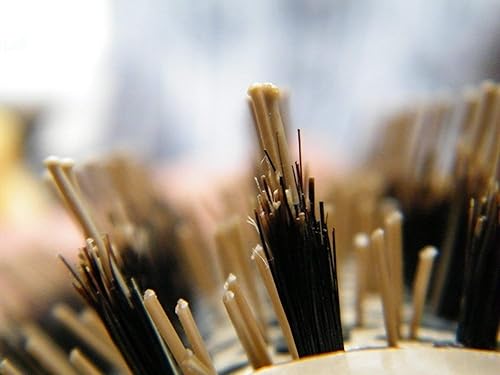 Miniatura 5 de Mejor cepillo redondo para brushing en seco con cerdas de jabalí naturales para deslumbrar cepillo profesional de salón para un cabello brillante y