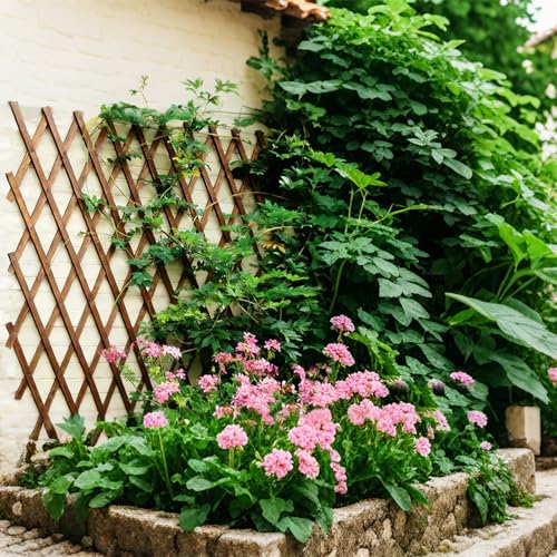 Image of 2Pcs Expandable Garden Trellis, 38 inch x 89 inch Large Wooden Lattice Fence Wall Panel Lattice Trellis for Climbing Plants Outdoor Ivy Vine Rose Clematis for Garden Patio Room Decor (2Pcs Brown)