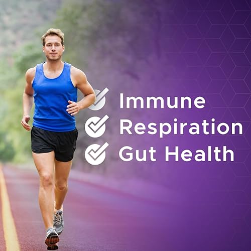 Miniatura 3 de THE MONK Extracto de berberina orgánica de 2000 mg - Vegano, sin OMG - Apoyo inmunológico - Suplemento de berberina HCL para mujeres y hombres - 120