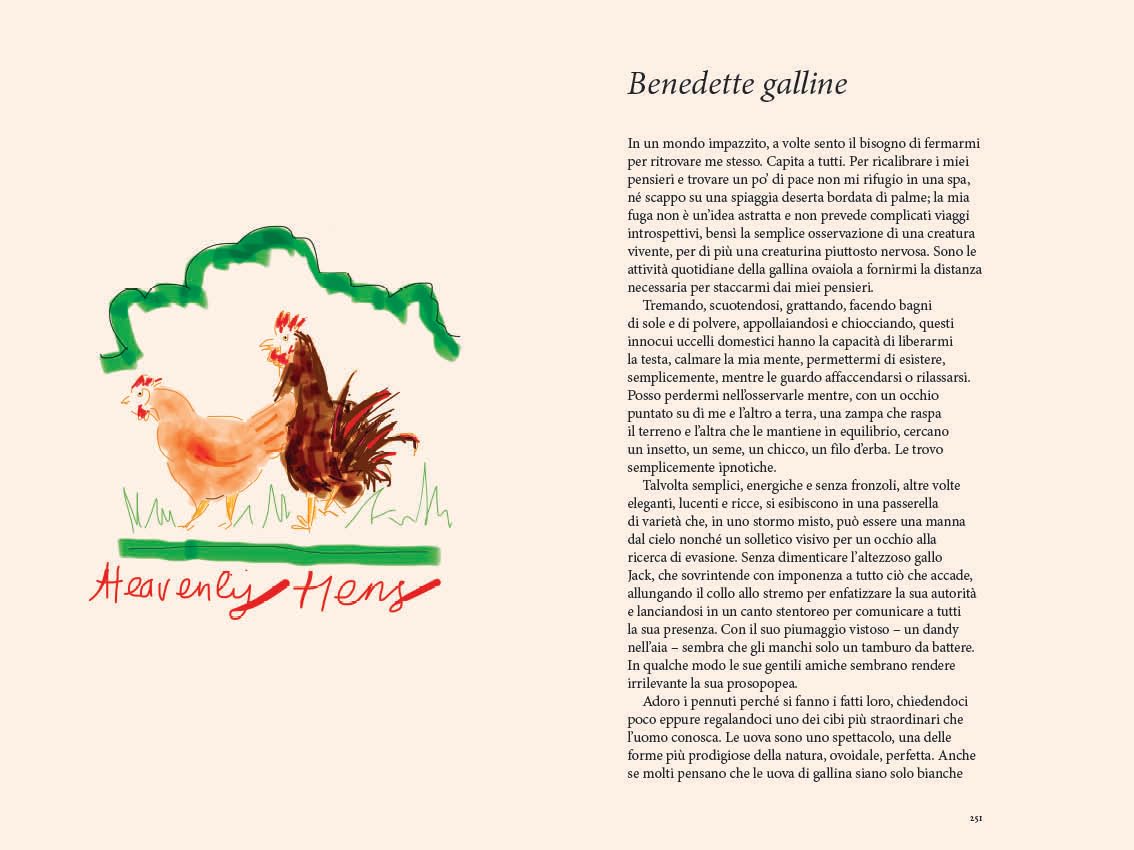 La gioia del cibo
