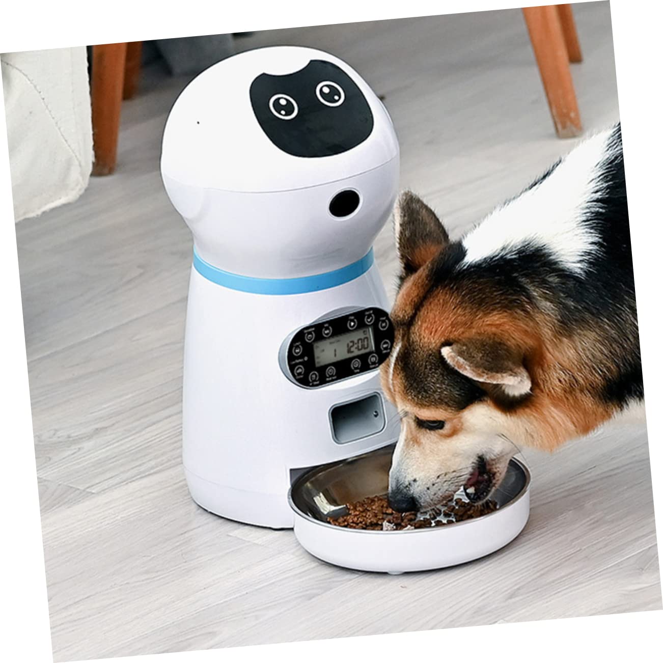 Ipetboom Comedero Temporizado Dispensador Automático para Mascotas con Capacidad de 3.5l, Diseño Flexible con Impulsor y Goma Suave Adecuado para Uso Doméstico Personal