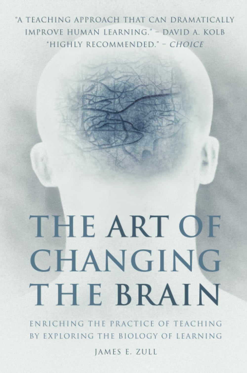 The Art of Changing the Brain: Enriching the Practice of Teaching by Exploring the Biology of Learning