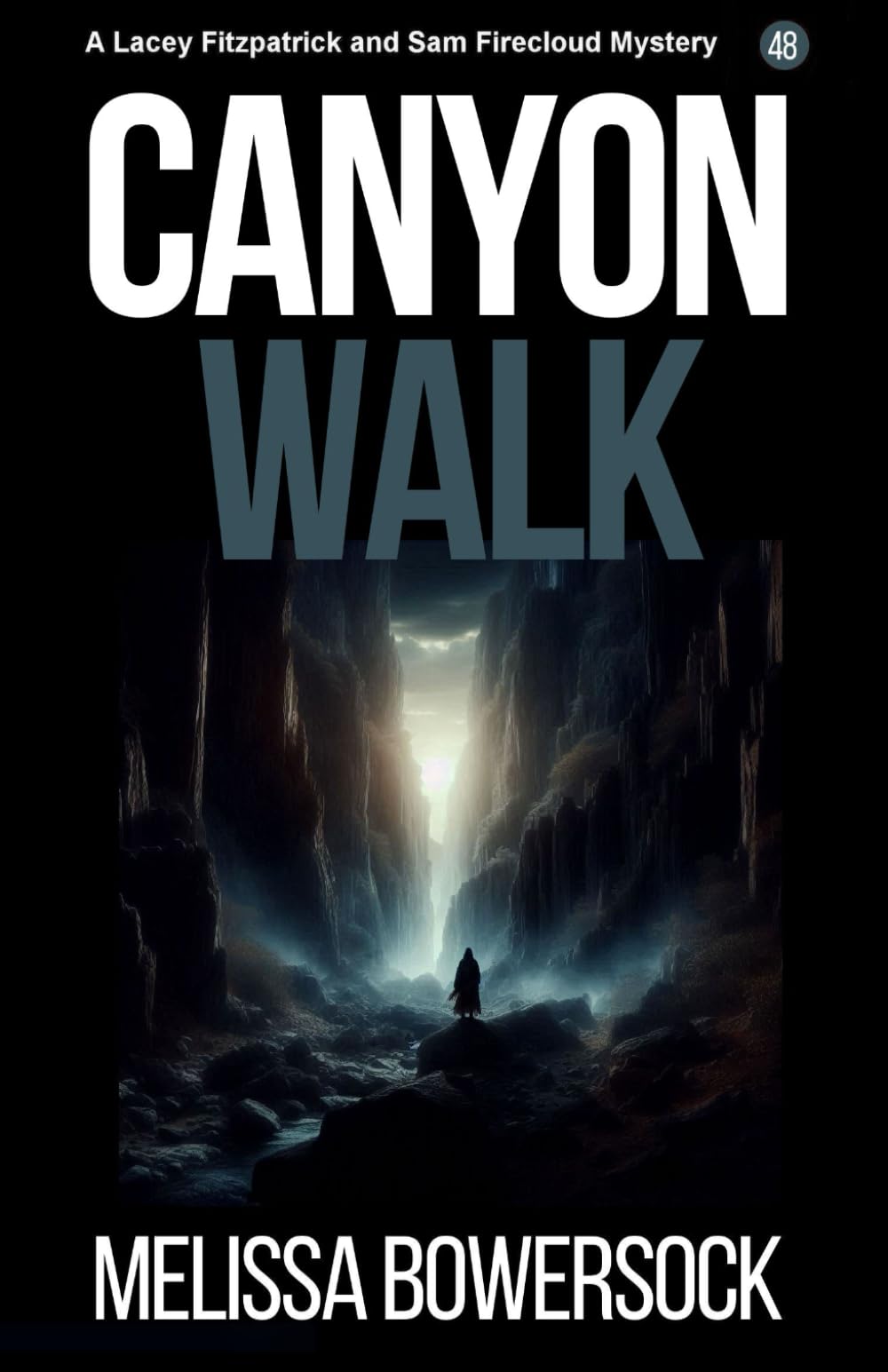 Canyon Walk (A Lacey Fitzpatrick and Sam Firecloud Mystery)