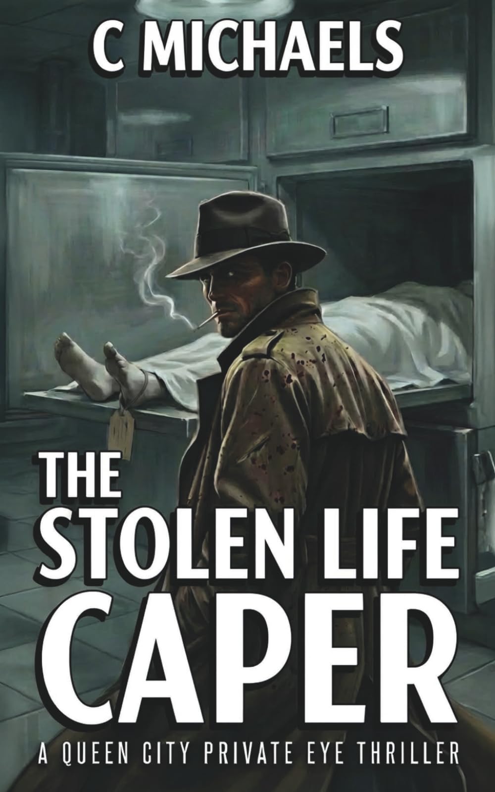 The Stolen Life Caper: A Queen City Private Eye Thriller (The Queen City Private Eye Detective Series)