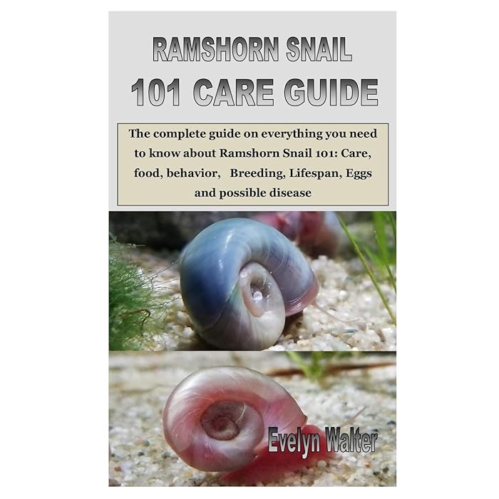Buy Ramshorn Snail 101 Care Guide The complete guide on everything you