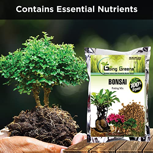 Image of Combo of 100% Organic Bonsai Potting Soil Mix (5 kgs) + Rootex (25 GMS)
