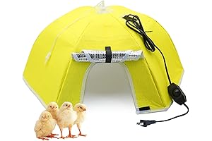 SuperSized Chick Brooder Warmer: The Ultimate Cozy Nest for Your Poultry Pals