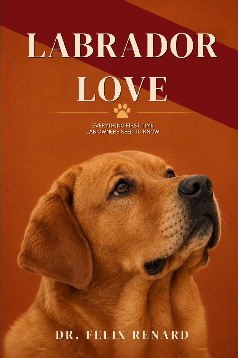 Labrador Love: Everything First-Time Lab Owners Need to Know