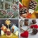Supla 30 Pcs Christmas Hanging Real Preserved Pine Cones Ornaments 2