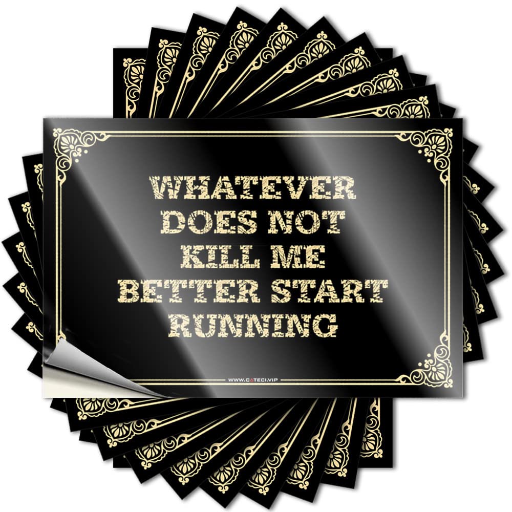 Room Decor Indie Aesthetic Hard Tattoos | Whatever Does Not Kill Me Better Start Running Retro Durable Vinyl Sticker Easy Apply for Math(12X18CM)