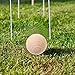 Kisangel 5pcs Croquet Balls Replacement for Lawn Games Unfinished Wood Balls for Crafting and Painting for Outdoor Backyard Fun and Bocce Activities