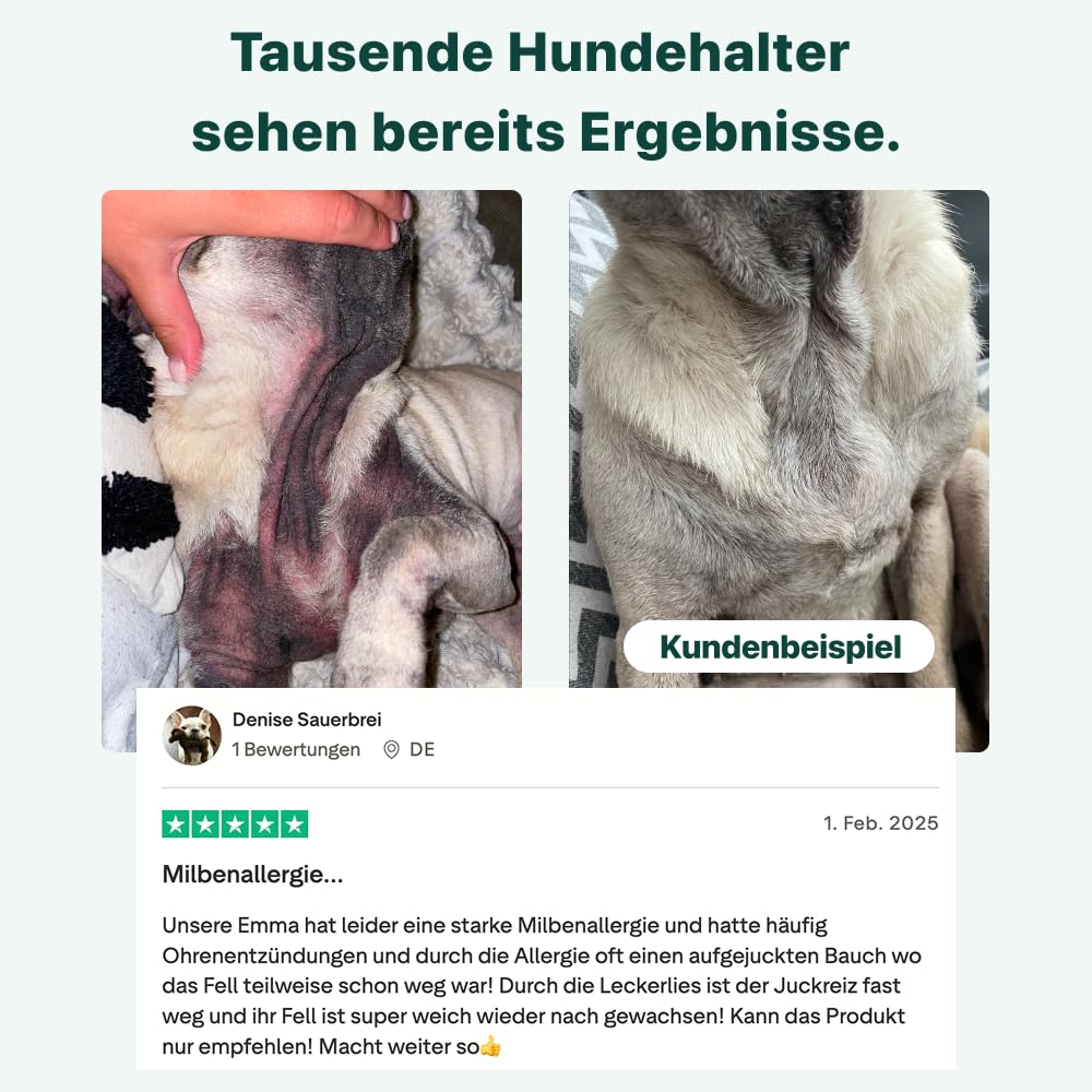 DogSuppy Juckreiz Linderung, Probiotika für Hunde, gegen Juckreiz und zur Stärkung des Immunsystems, Unterstützt die Verdauung & Darmflora, 3 Milliarden Probiotika pro Snack, 60 leckere Snacks