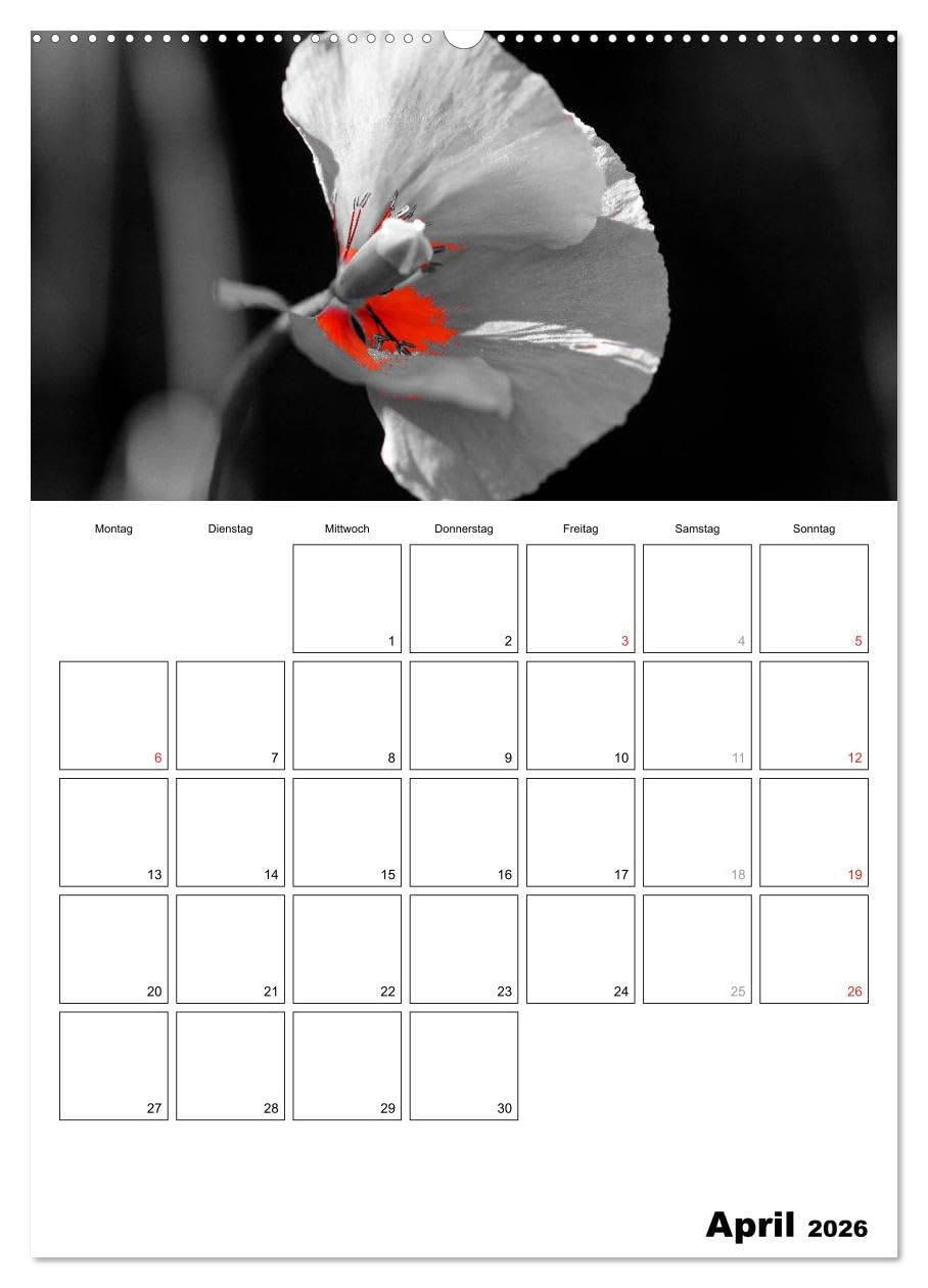schwarz/weiß trifft farbe - DEIN TERMINKALENDER/Planer (Wandkalender 2026 DIN A2 hoch), CALVENDO Monatskalender