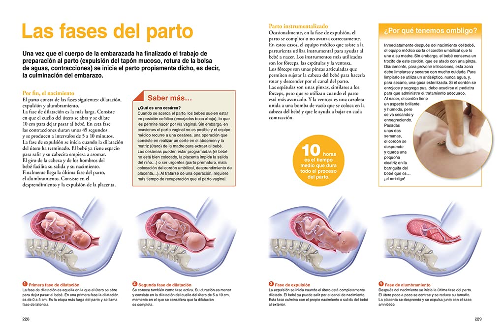 El cuerpo humano: Un apasionante recorrido por el universo de nuestro organismo (National Geographic Kids)