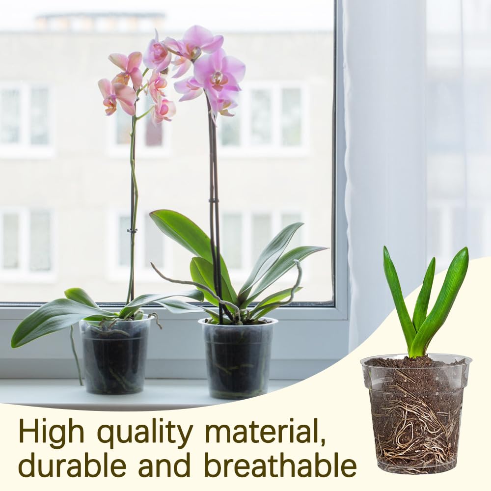 Een orchidee verpotten: 14 stappen (met afbeeldingen) - wikiHow