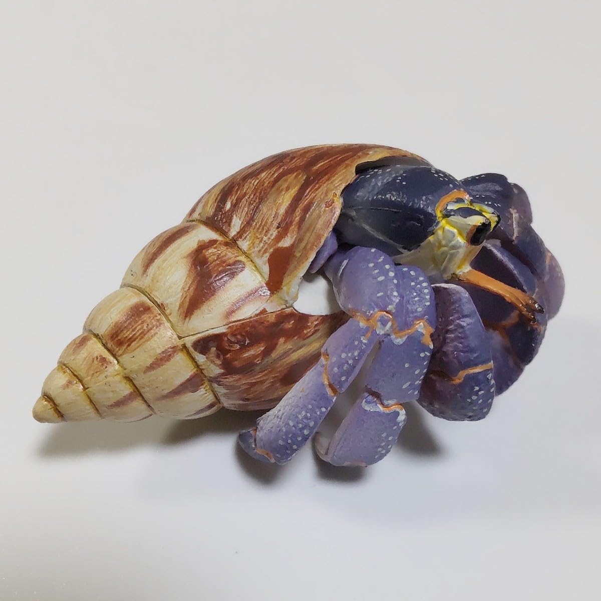 Amazon.co.jp: ムラサキオカヤドカリ 海洋堂 週刊日本の天然記念物