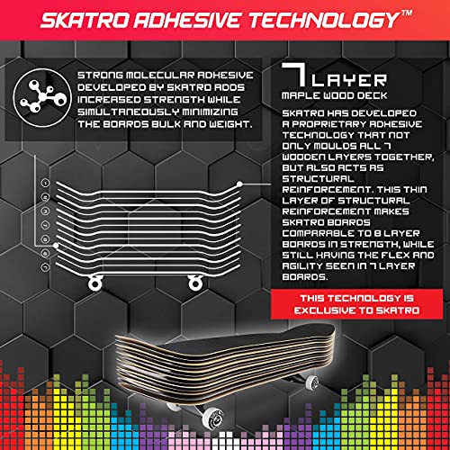 Image of Skatro - Pro Skateboard 31 Complete Skateboard. Skate Board Ages: Adults, Boys, Girls, Beginners, and Kids - Woodtone Bear