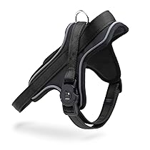 MyFamily Pettorina Cane in Poliestere Made in Italy, Dati Anagrafici del Tuo Cane Sempre Con Te, Connessione Smartphone con Tecnologia NFC, Modello Y, Collezione Memopet (Taglia S, M)