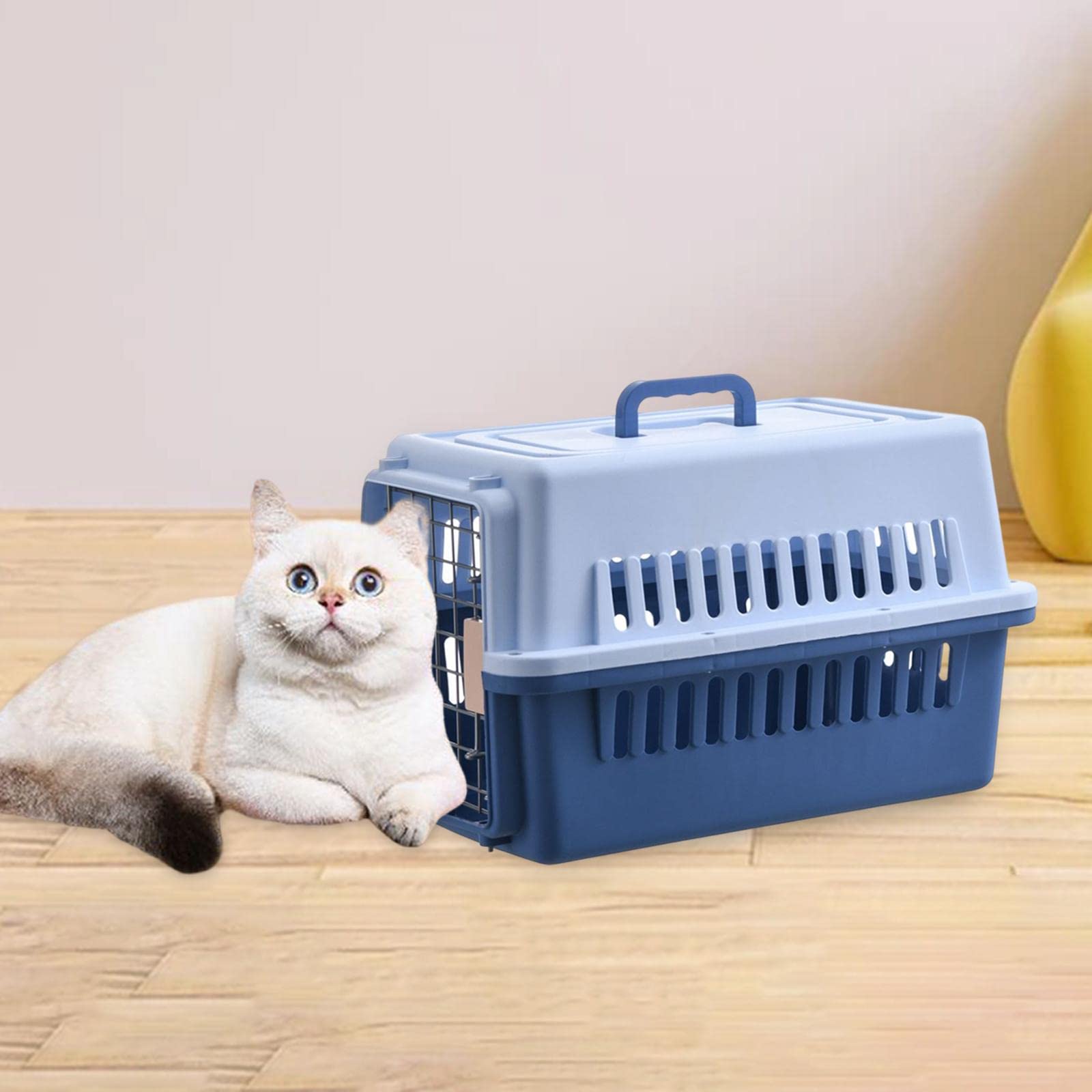 Tragbare Transportbox für Kleintiere – Leichte Box für Einfachen Transport, Blau