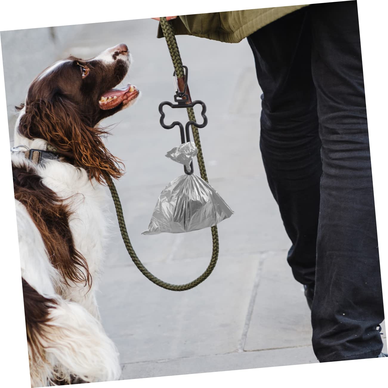 POPETPOP Lot De 4 Distributeurs De À Déjections Canines Haute Capacité 10 Pièces X 4