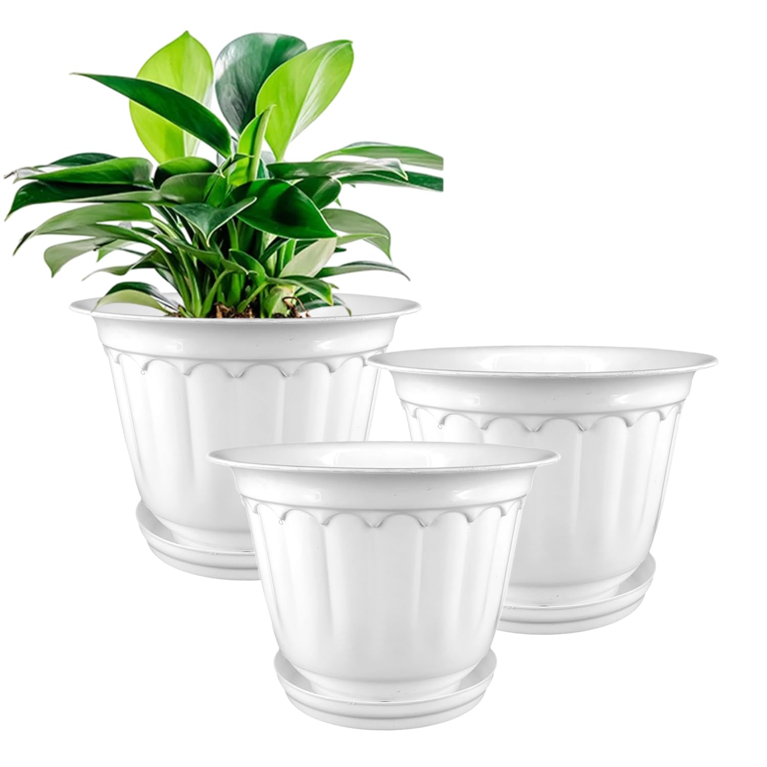 GARDENS NEED 12-inch (30.48cm) Jasmine Flower Pot with Drip Tray - Round Shape Planter | Perfect for Home, Office, Garden, Terrace, Balcony or Gift Decor| (Pack of 3) - White-image-16