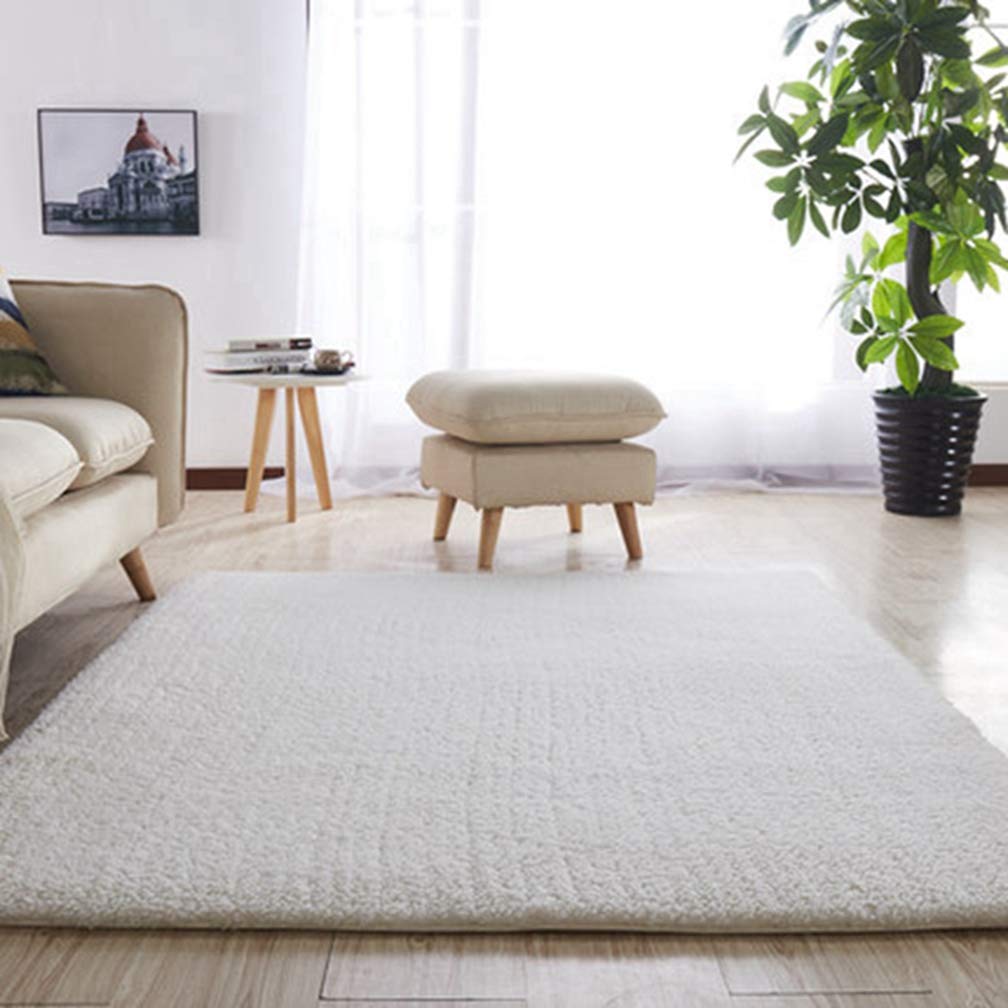 Photo 1 of (SEE NOTES) Solid Rectangular Area Rugs Soft Shag 7' 9" x ?'