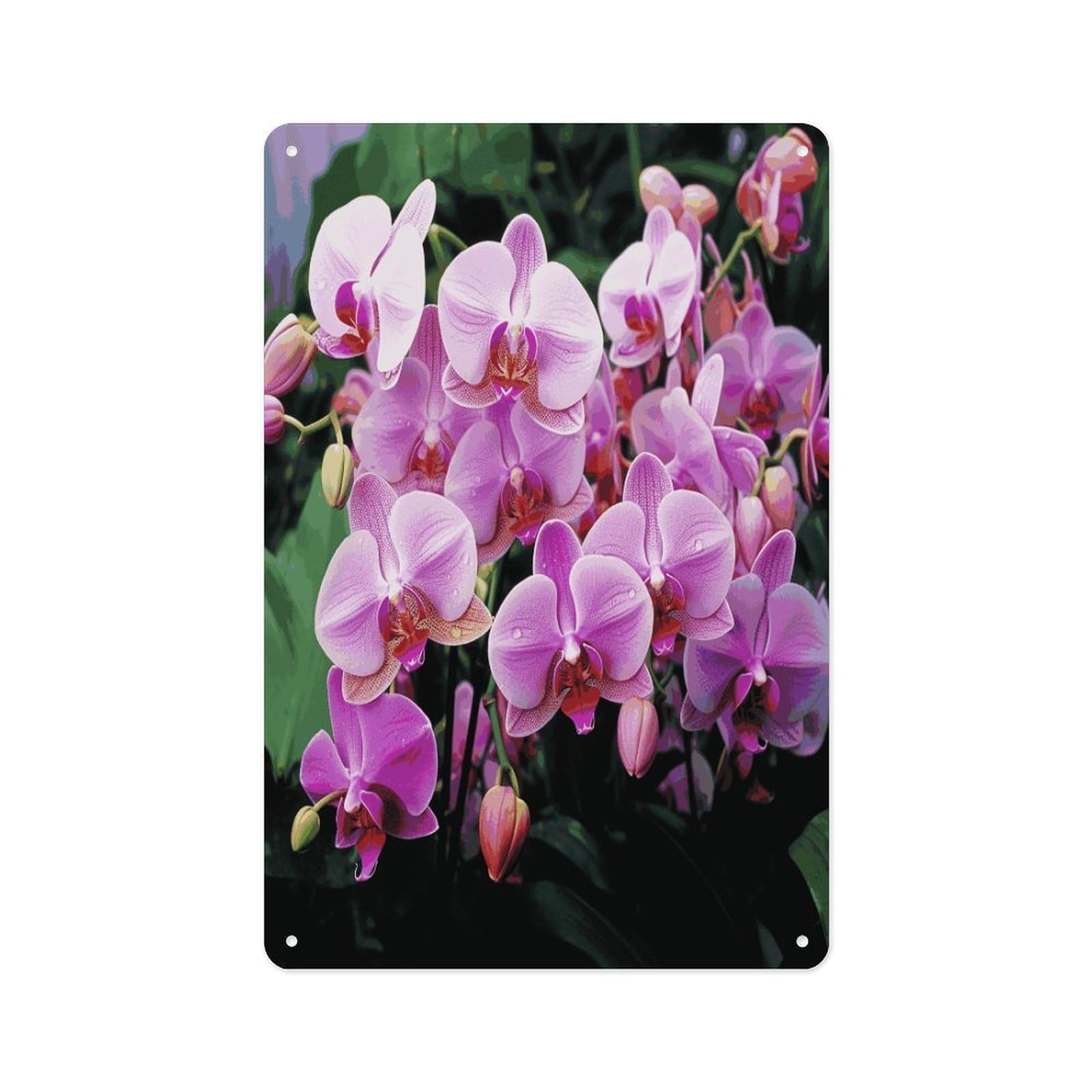 FekiLoot Orchids Wall Decor Metal Signs Tin Signs Poster