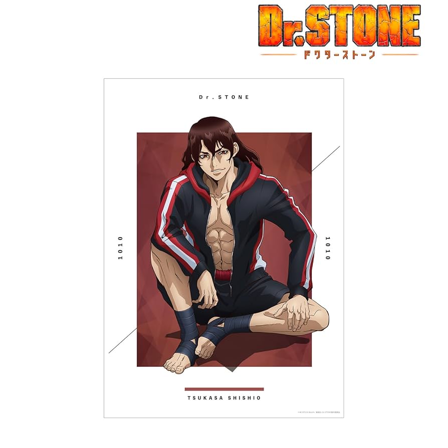 Amazon.co.jp: TVアニメ Dr.STONE 描き下ろしイラスト 獅子王司