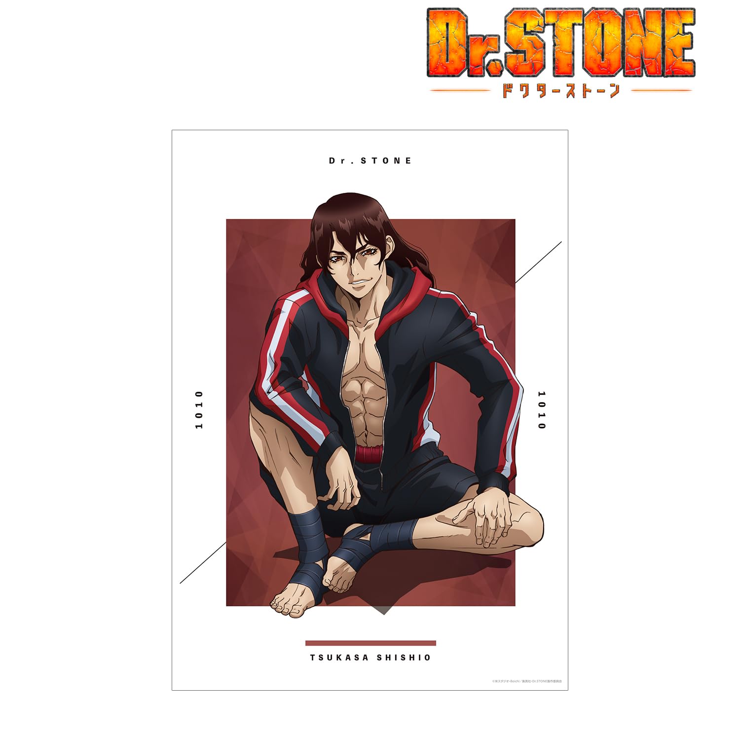 Amazon.co.jp: TVアニメ Dr.STONE 描き下ろしイラスト 獅子王司 石化前